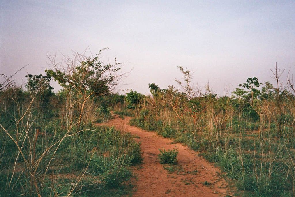 L’Afrique serpente en moi