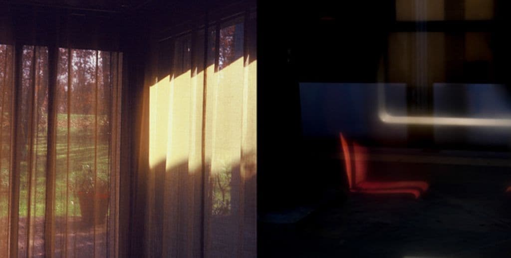 Luxuriance